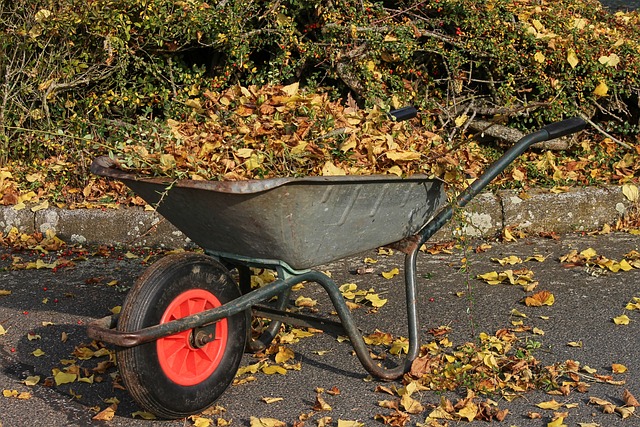 Technologiczna rewolucja w utylizacji elektroodpadów